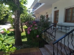 Photos